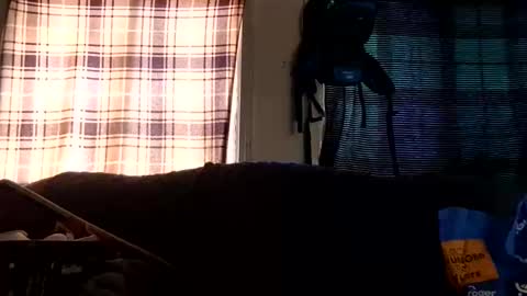 lildurke65 online show from February 2026 09:19:01 PM