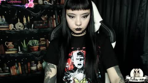   online show from December 2024 12:08:01 AM