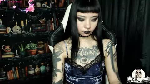   online show from December 2024 03:14:02 AM