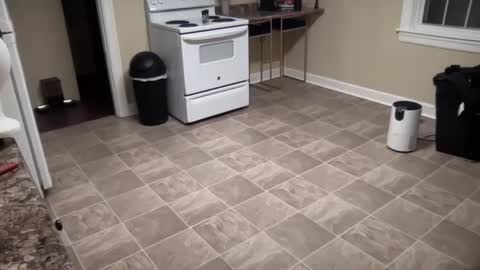 Snapshot of lilly_adams88 chatting on February 2025 01:00:01 AM lilly_adams88 online show from February 2025 01:00:01 AM