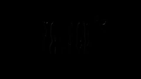 lilpresident online show from January 2025 07:51:02 PM