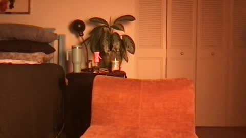 Little Lily online show from June 2026 04:39:02 AM