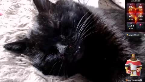 Lena online show from April 2026 04:15:02 AM