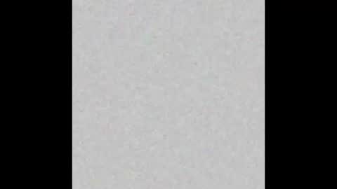 Lindsey online show from February 2026 10:19:01 AM