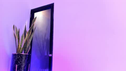 Liorah wolf online show from February 2026 07:57:02 PM