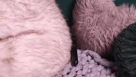 Lire online show from October 2025 04:52:01 AM