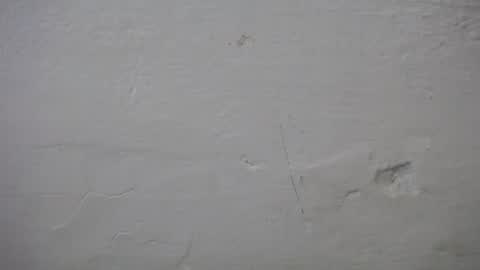 lisa_branch online show from October 2025 07:11:02 PM