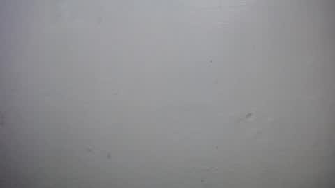 lisa_branch online show from October 2025 10:16:02 AM