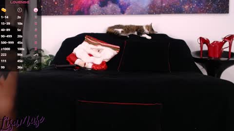 Snapshot of lisamusee chatting on December 2024 07:11:02 PM Lisamuse online show from December 2024 07:11:02 PM