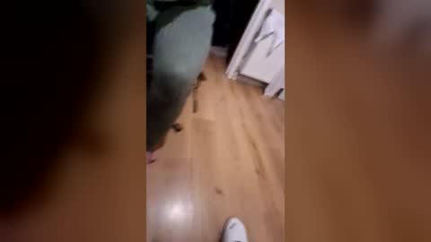 littlebum85 online show from July 2026 10:38:01 PM