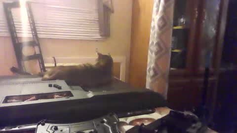 littlegrey376 online show from February 2026 07:15:02 AM