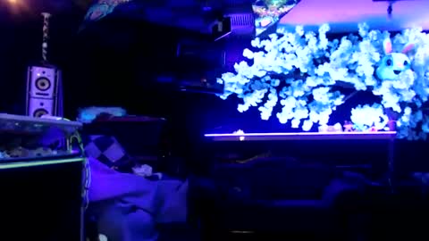 GentleViolet online show from January 2025 08:09:02 AM