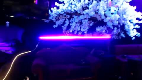 GentleViolet online show from January 2025 05:52:02 AM