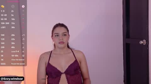 Snapshot of lizzywindsor chatting on February 2026 12:10:02 PM lizzywindsor online show from February 2026 12:10:02 PM