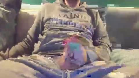 Lnkn online show from February 2026 05:46:02 PM