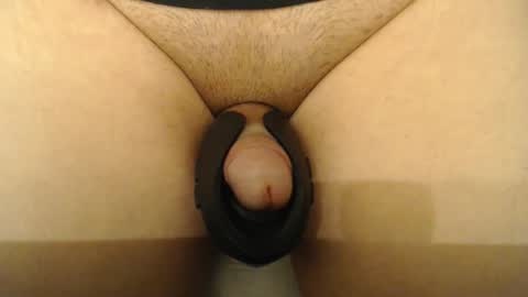 Snapshot of lobotomizer chatting on December 2025 12:21:01 PM lobotomizer online show from December 2025 12:21:01 PM