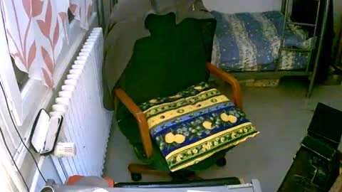 lokoum39 online show from December 2024 05:15:02 PM