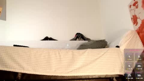 Miss Lolla online show from October 2025 06:50:02 AM