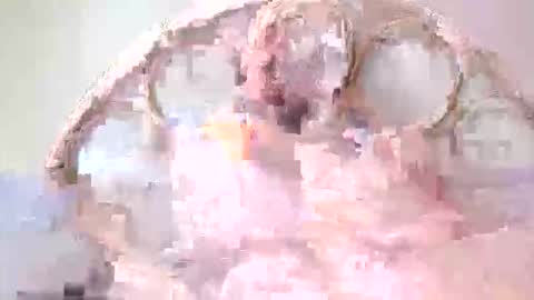 Lolo online show from March 2026 11:48:02 AM