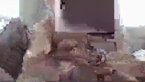 THE SEXIEST MAN ALIVE online show from February 2025 01:22:01 PM