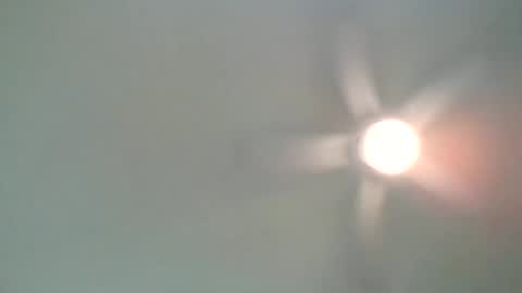 long1969dong online show from February 2025 02:17:02 AM