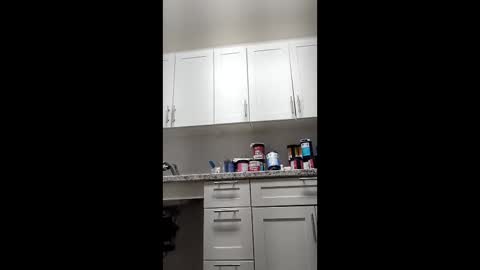 long1969dong online show from April 2026 04:16:01 AM