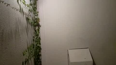 longdick3587 online show from February 2025 05:14:02 AM