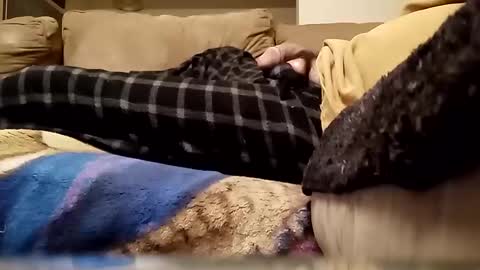 looking4bush online show from January 2026 03:34:01 AM