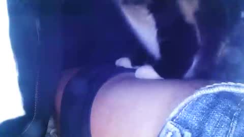 lookingforcougars500 online show from November 2025 03:43:02 AM