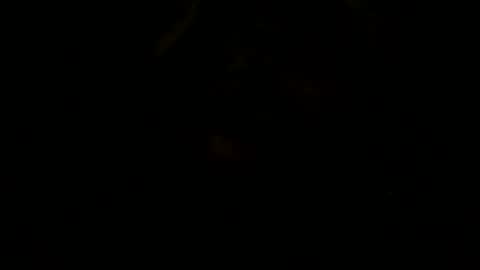 loose565 online show from February 2026 06:49:02 PM