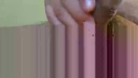 2791 3D online show from February 2026 05:35:01 AM