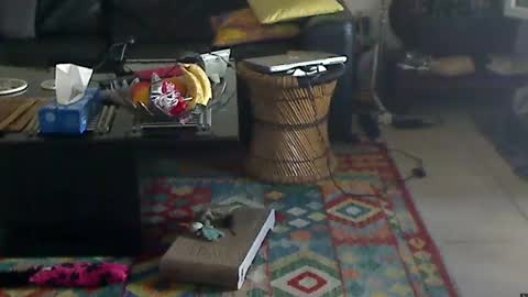Snapshot of lordjim75 chatting on June 2026 03:49:02 PM Lord Jim online show from June 2026 03:49:02 PM