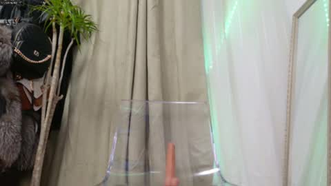 Amelia online show from February 2025 11:04:01 PM