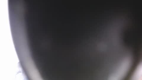 Snapshot of lorex_27 chatting on July 2026 12:15:02 AM lorexxw online show from July 2026 12:15:02 AM