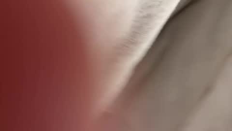 lost_surprise online show from April 2026 03:56:01 AM