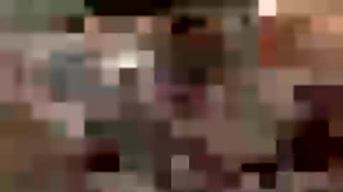 LostinDremes online show from July 2026 10:56:02 AM