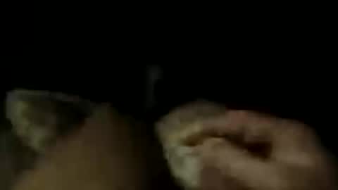 LostinDremes online show from July 2026 10:10:02 AM