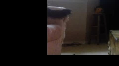 love69bush online show from February 2026 06:30:02 AM