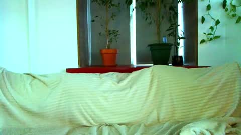 Cute face online show from December 2024 04:55:02 AM