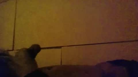 lovebignip online show from February 2026 05:14:01 AM