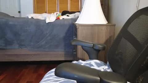 Amber online show from November 2025 03:19:01 AM