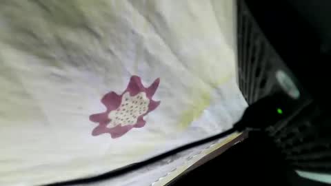 Snapshot of lovelypinay2 chatting on February 2025 03:34:02 AM lovelypinay2 online show from February 2025 03:34:02 AM