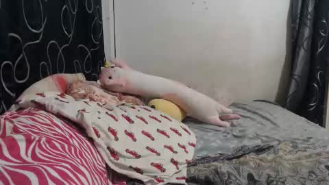 loveme114 online show from March 2026 12:33:01 AM