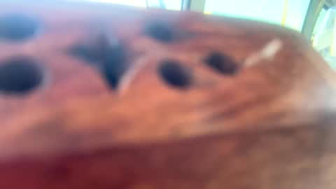 StacyMaeWish online show from March 2025 10:17:02 PM