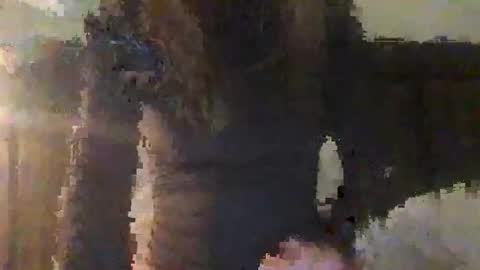 lozivelle online show from November 2025 05:41:02 AM