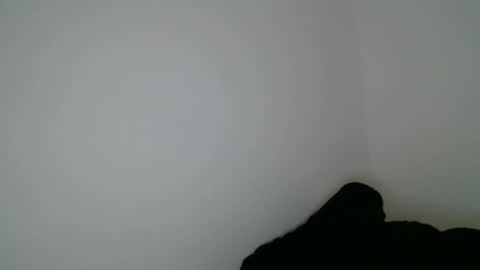 Snapshot of luana789 chatting on January 2026 09:51:01 PM luana online show from January 2026 09:51:01 PM