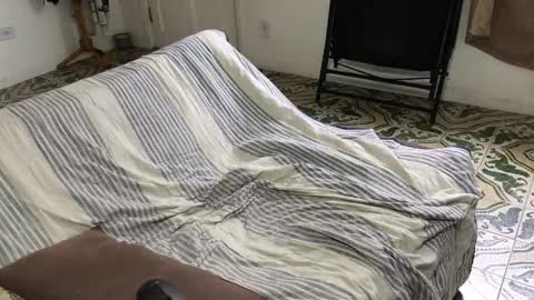 lucifer_curious online show from November 2025 04:18:01 PM