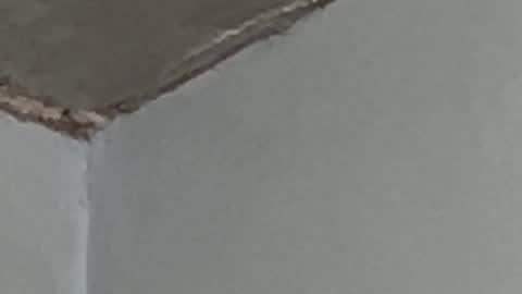 Lucien online show from September 2025 02:57:01 AM