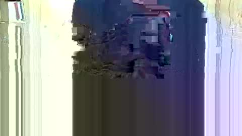 Luckycock online show from October 2025 12:11:01 PM