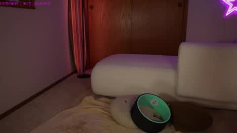 Lucy. online show from February 2025 04:57:01 AM